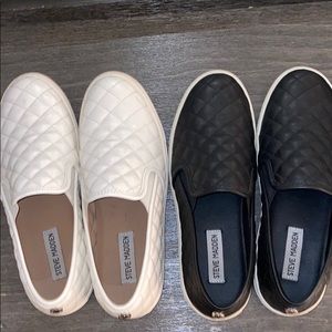 Steve Madden Sneakers